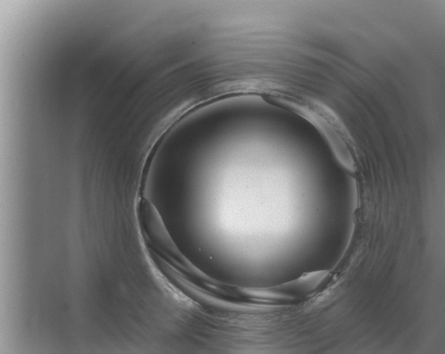 X0000072990946200607290010