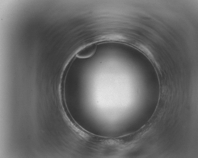 X0000072990947200607290010