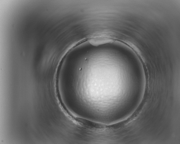 X0000072990949200607290010