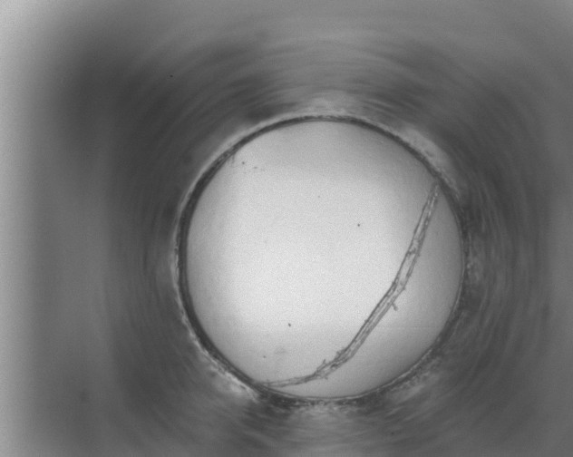 X0000072990950200607290010