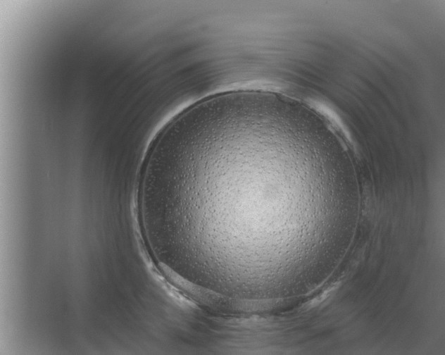 X0000072990952200607290010