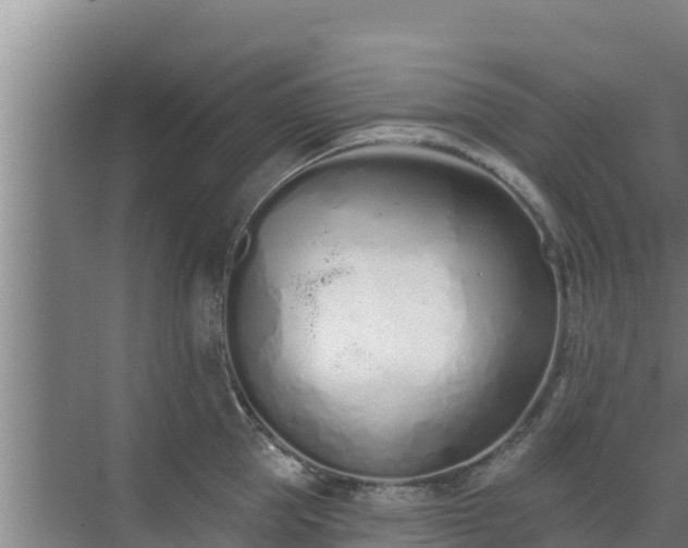 X0000072990953200607290010