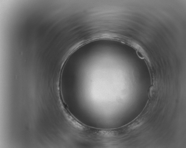 X0000072990954200607290010