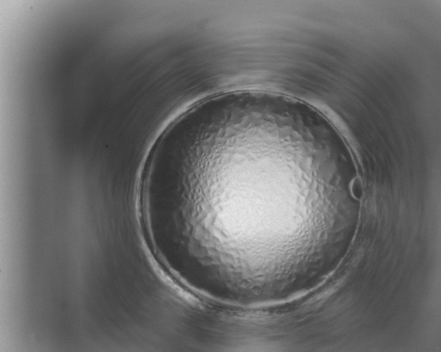 X0000072990957200607290010