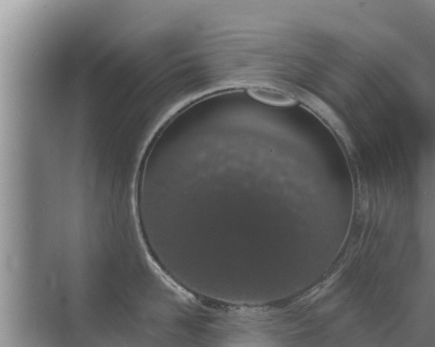 X0000072990958200607290010