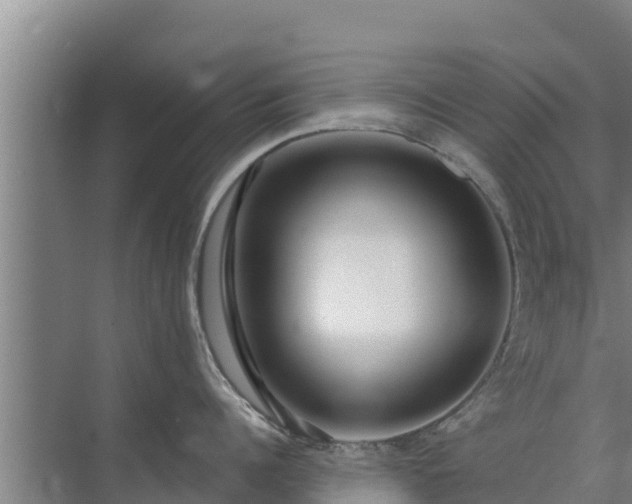 X0000072990960200607290010