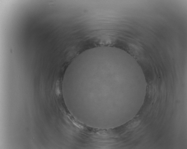 X0000072990962200607290009