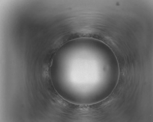 X0000072990964200607290009