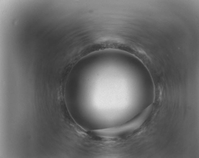 X0000072990965200607290009