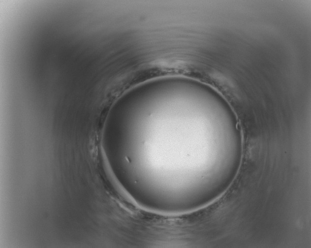 X0000072990966200607290009