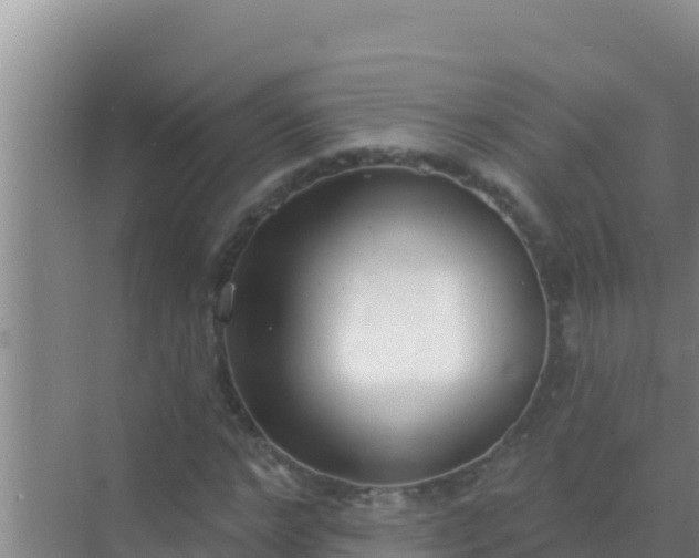 X0000072990968200607290009