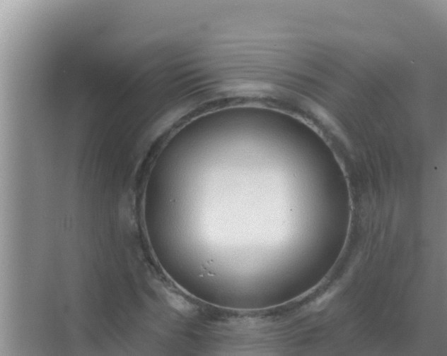 X0000072990970200607290009