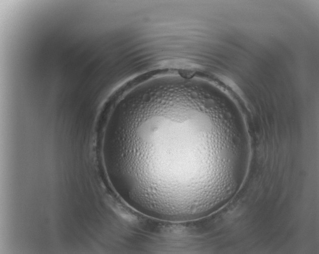 X0000072990971200607290009