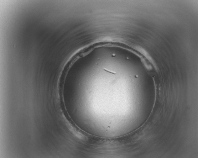 X0000072990972200607290009