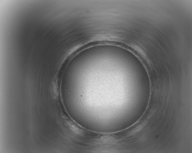 X0000072990974200607290009