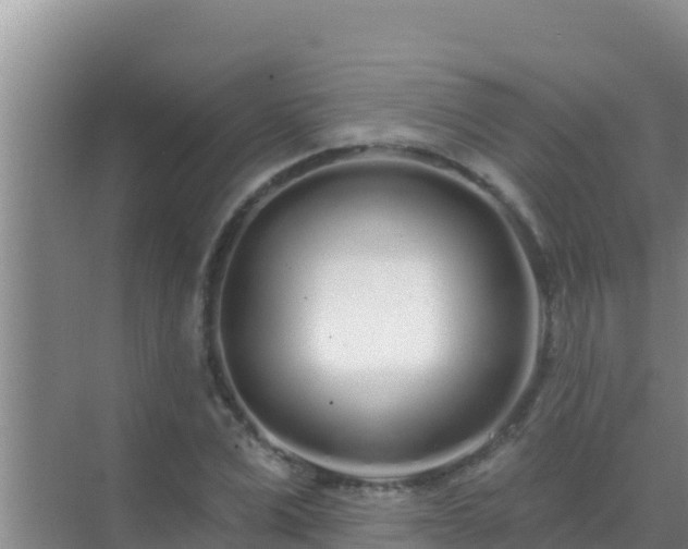 X0000072990975200607290009