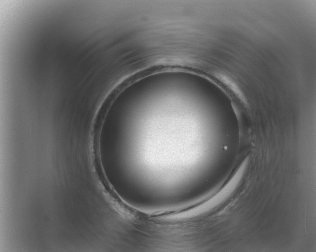 X0000072990976200607290009