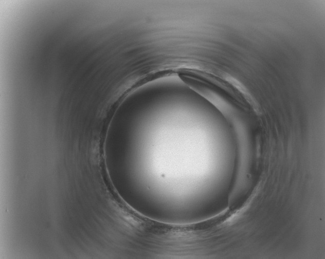 X0000072990977200607290009