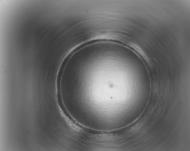 X0000072990980200607290009