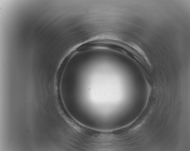 X0000072990981200607290009