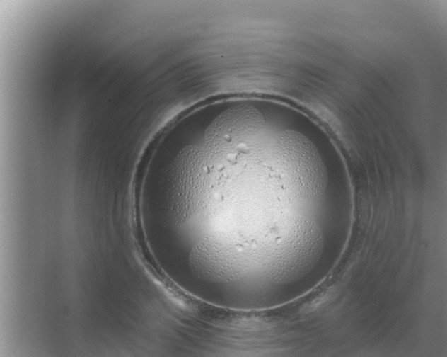 X0000072990982200607290009