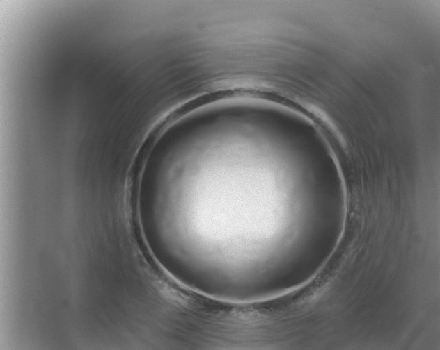 X0000072990983200607290009