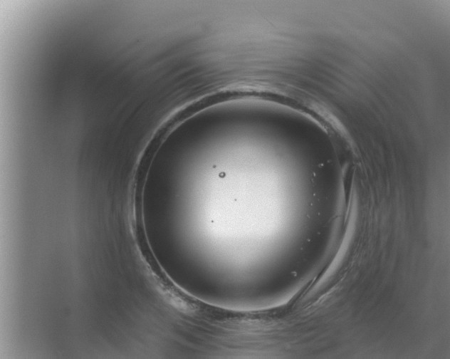 X0000072990984200607290009