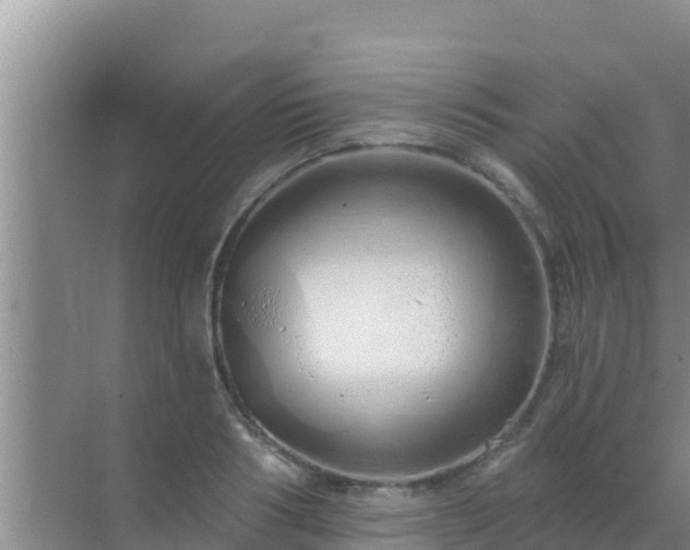 X0000072990986200607290009