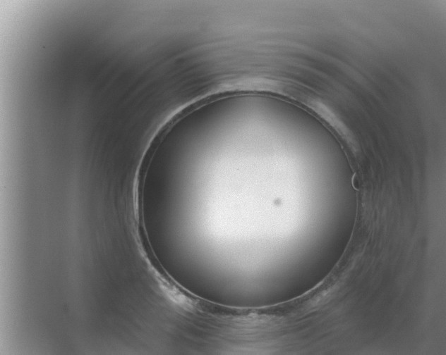 X0000072990988200607290009