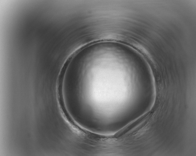 X0000072990991200607290009