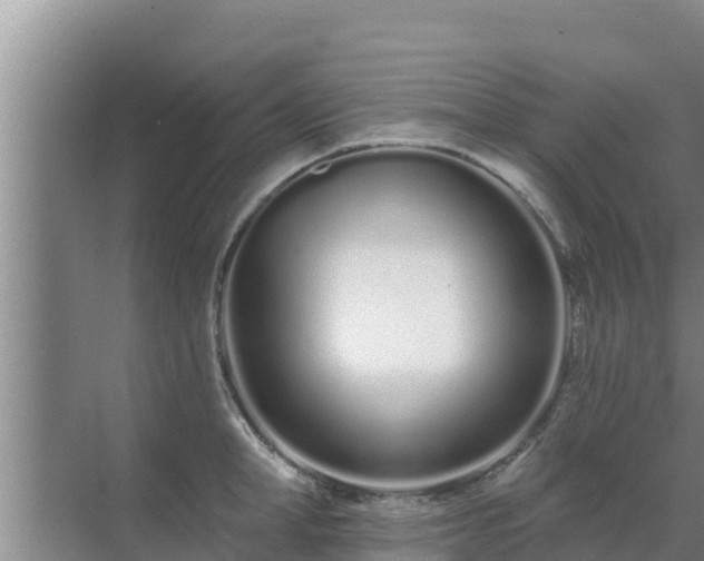 X0000072990998200607290009