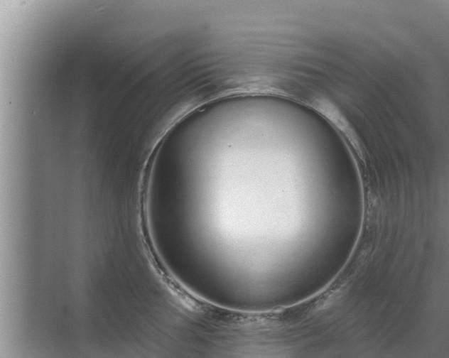 X0000072991002200607290009