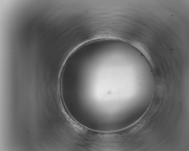 X0000072991004200607290009