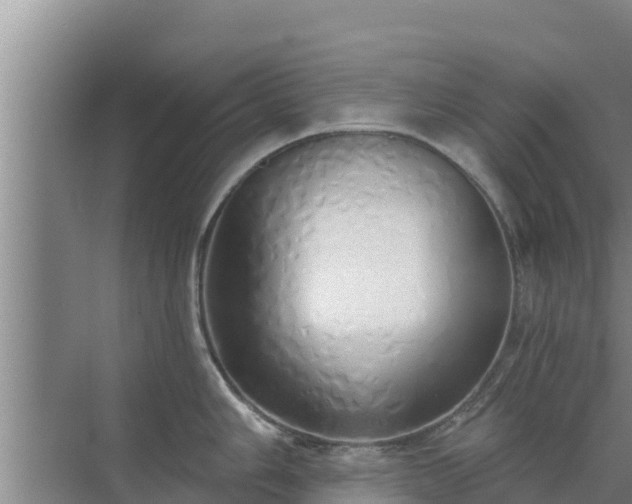 X0000072991006200607290009