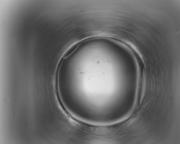 X0000072991007200607290009