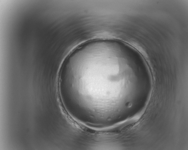 X0000072991008200607290009