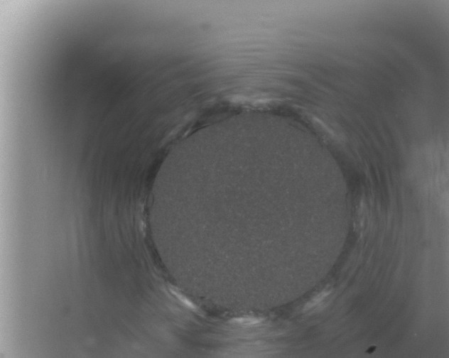 X0000072991010200607290008