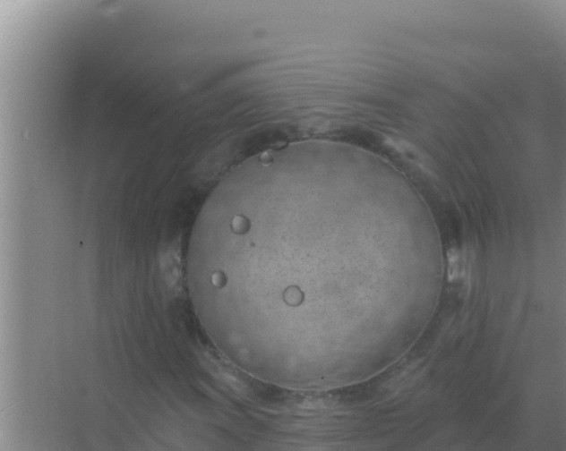 X0000072991011200607290008