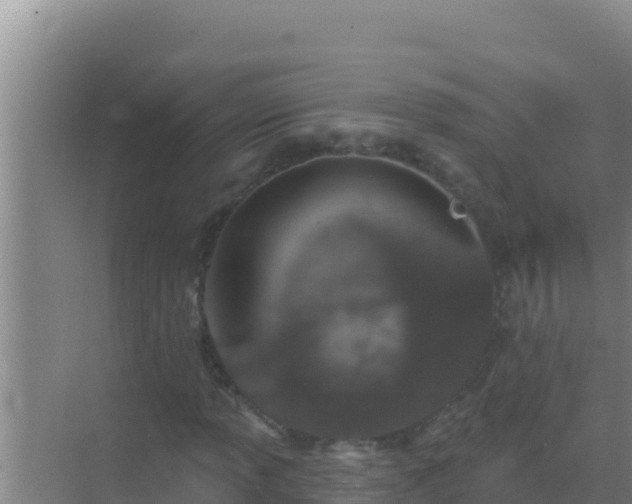 X0000072991013200607290008