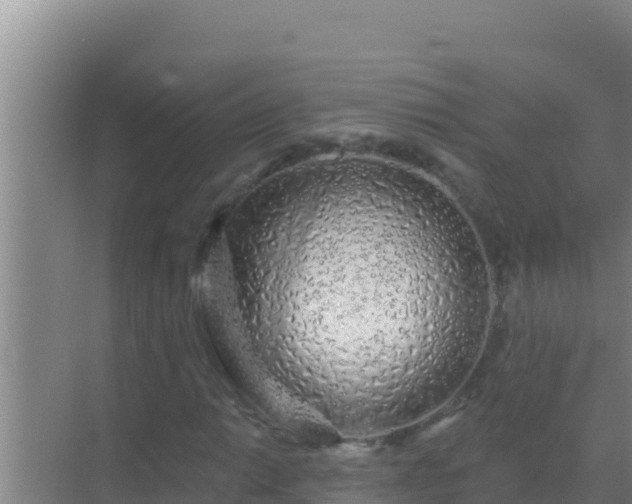 X0000072991014200607290008