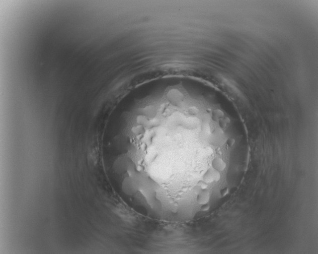 X0000072991015200607290008