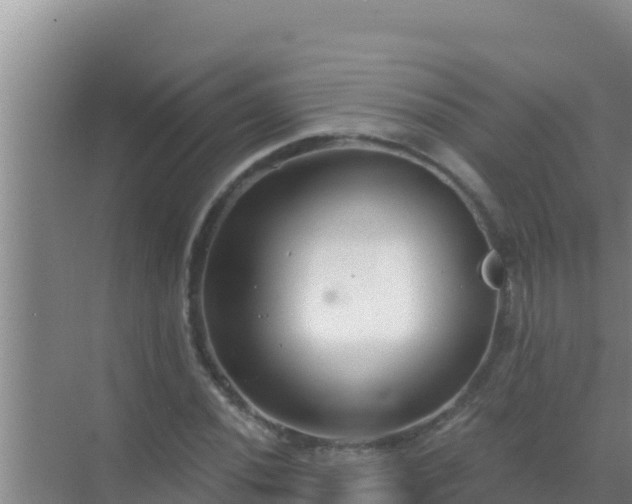 X0000072991020200607290008