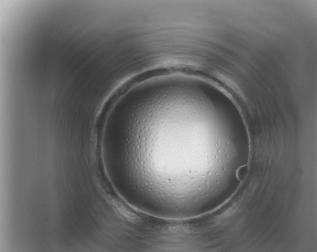 X0000072991021200607290008