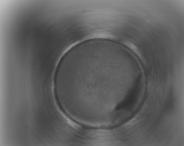 X0000072991024200607290008