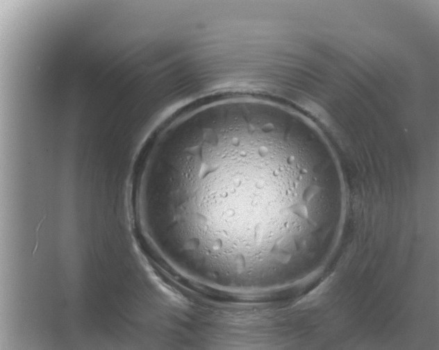 X0000072991030200607290008