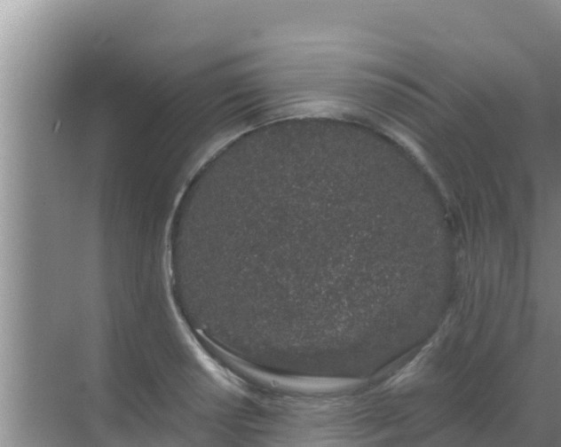 X0000072991034200607290008