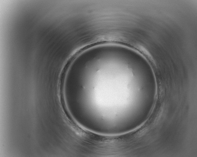 X0000072991035200607290008