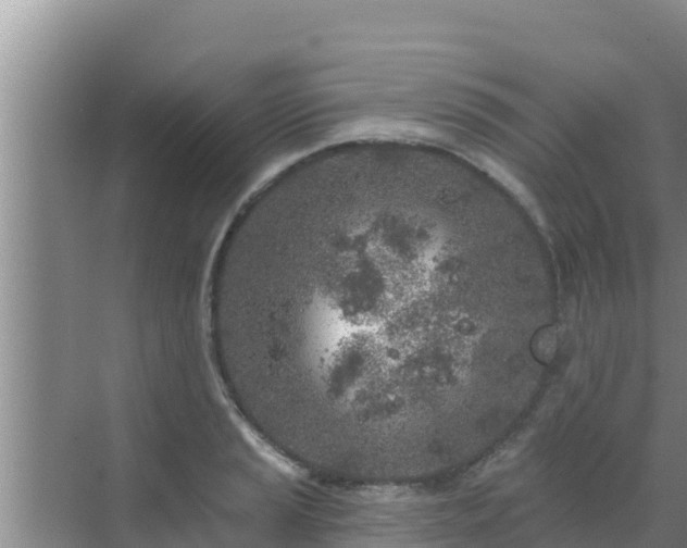 X0000072991037200607290008