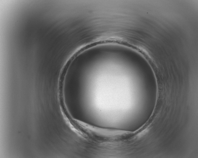 X0000072991038200607290008