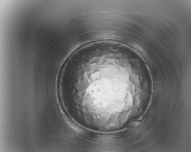 X0000072991039200607290008